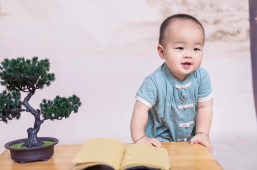 滑县可爱的企鹅宝宝